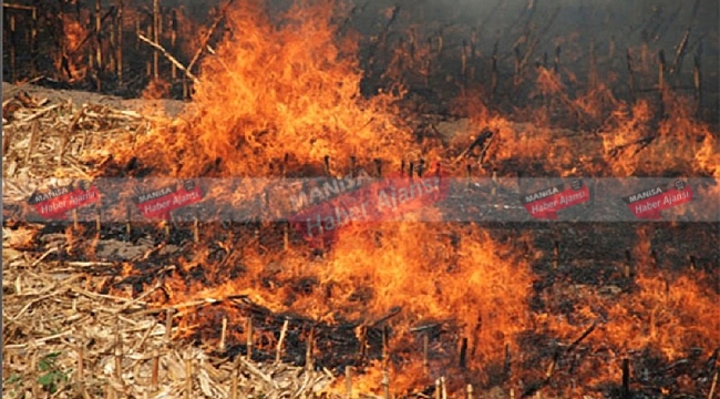 Salihli Ve Yöresinde Buğday ve Arpa Hasadı Devam Ediyor