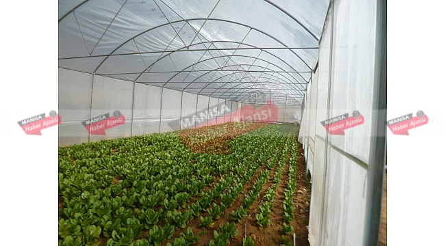 Manisa'da 100 Üreticiye Sera Desteği