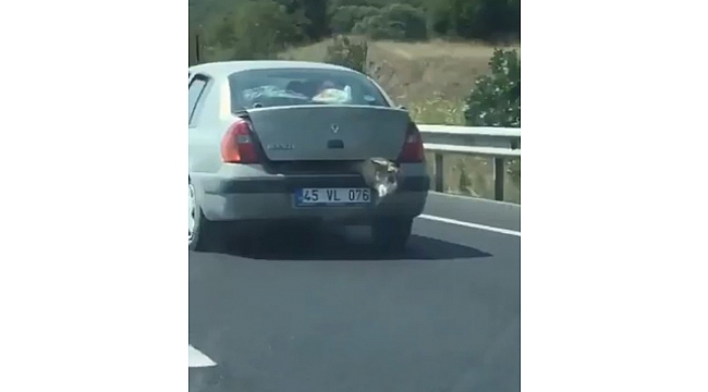 Bagajda koyun taşıyan sürücüye sosyal medyadan tepki