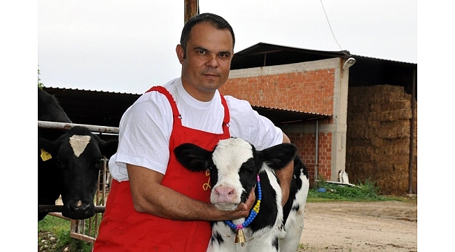 Birlik Başkanı Tunca'dan düve uyarısı