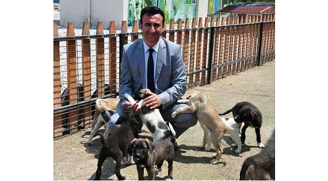 Büyükşehirden petshop açacaklara çağrı