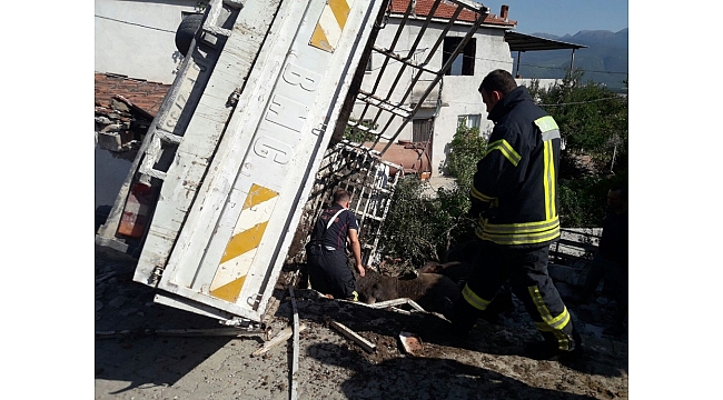 Hayvan yüklü kamyonet devrildi, 3 hayvan telef oldu