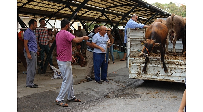 Kurbanda kurallara uymayanlara ceza yağacak