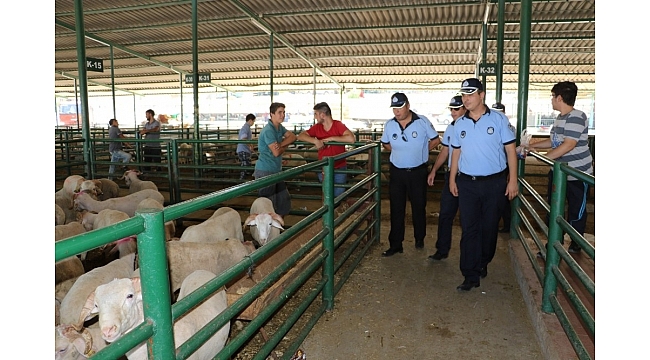Manisa Büyükşehir Belediye Zabıtası Kurban Bayramı'na hazır