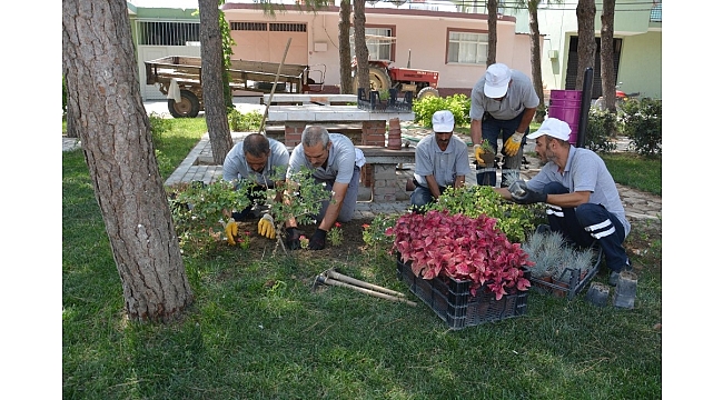 Şehzadeler'in parkları rengarenk