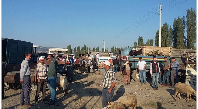 Selendi&#039;de kurbanlıklar pazardaki yerini aldı