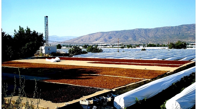 TARİŞ'in kuru üzüm fiyatlarını açıklaması istendi