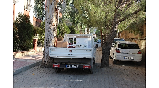 Yol ortasındaki ağaçlar şaşırtıyor