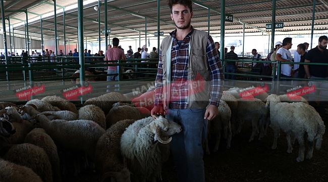 Bayram tatili hayvan satıcılarını vurdu