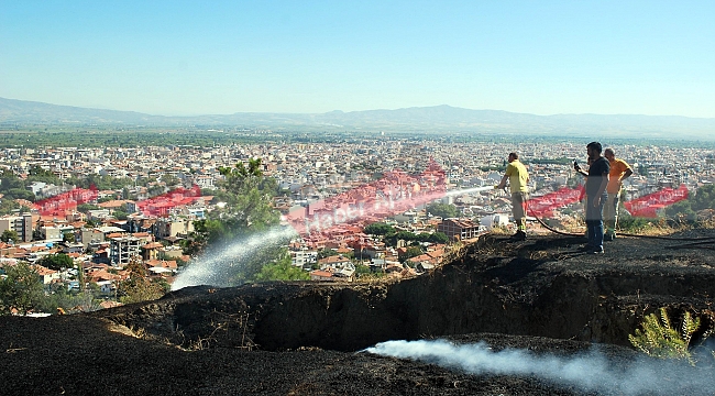 Ot yangını ormana sıçramadan söndürüldü