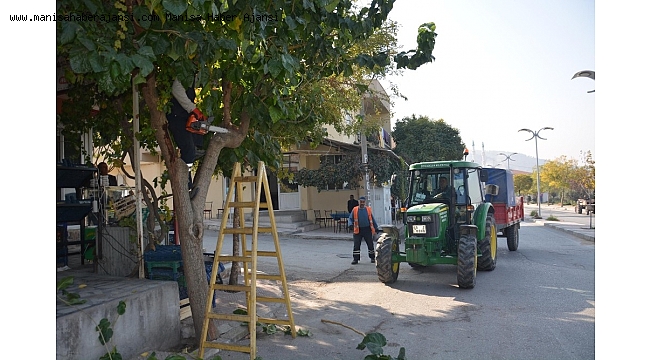 Ağaçlar kışa hazırlanıyor