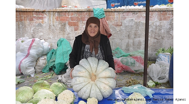 Kırkağaç'ta 32 kiloluk dev kabağa büyük ilgi