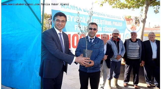 Sarıgöl'de çiftçilere zeytin desteği