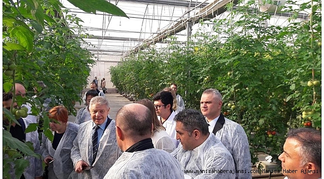 Rus heyet Salihli&#039;de domates seralarını inceledi