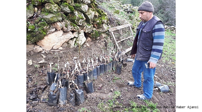 Toprakla buluşan fidanlara yakın takip