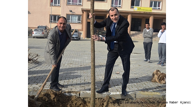 Kendi günlerinde ağaç diktiler