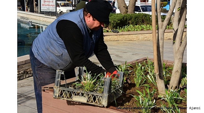Mevsimlik çiçekler Alaşehir'in her yanında