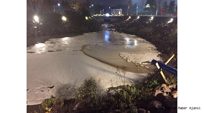 Safran Çayındaki kirlilik araştırılıyor