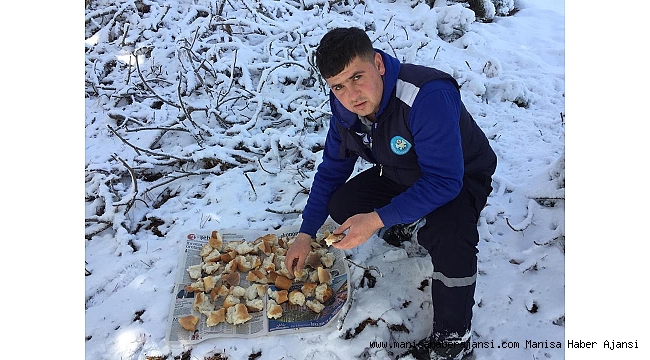 Yaban hayatı koruma altında