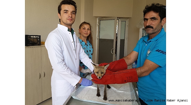 Yaralı yaban hayvanlarına umut oldular