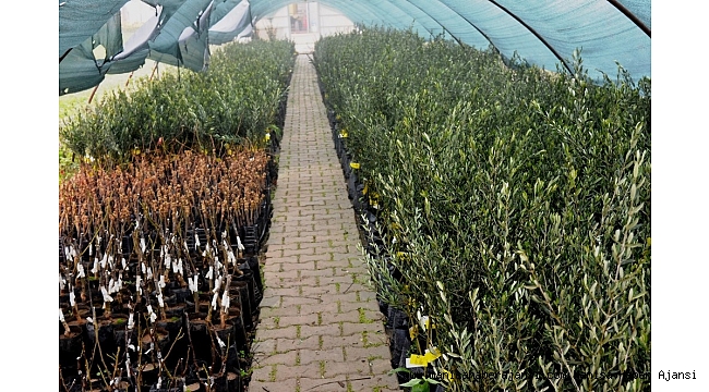 Yunusemre 2018 yılında da üreticileri sevindirecek