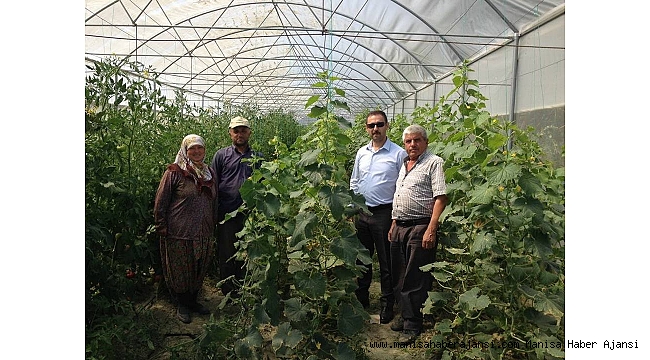 Büyükşehir'in kurduğu seralarda üretim kışın da sürüyor
