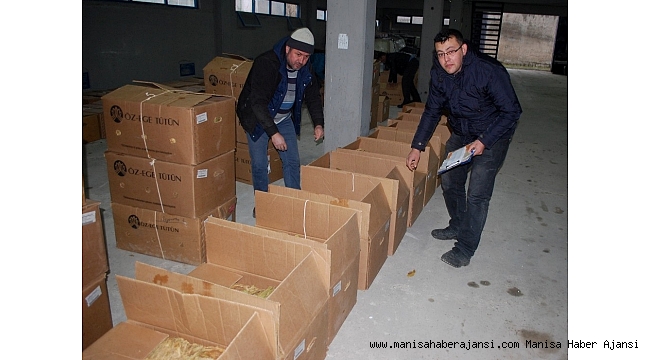 Gördes'te tütün piyasası açıldı