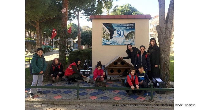 Sokak kedileri için &#039;kedi evi&#039;