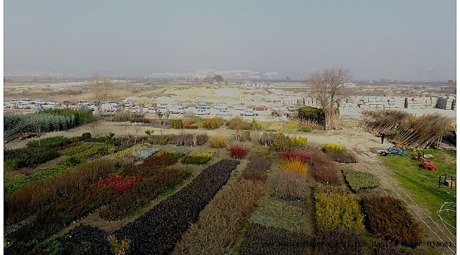 Yunusemre&#039;de bahar hazırlıkları sürüyor