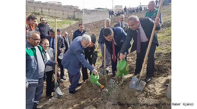 Afrin şehitleri anısına zeytin fidanı diktiler