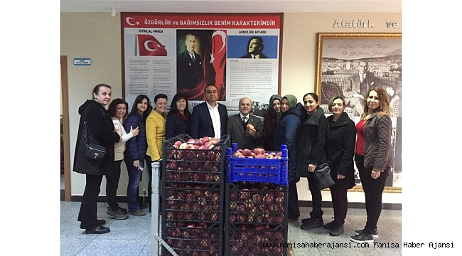 Ara öğünün önemine dikkat çekmek için 240 kilo elma dağıttılar