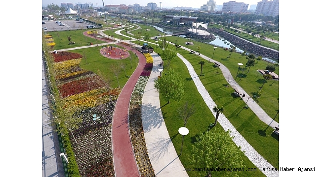 Manisa, lale bahçesine döndü