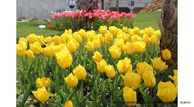 Manisa rengarenk oldu