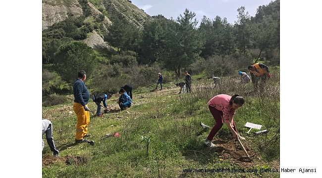 Öğrenciler, çam fidanlarını toprakla buluşturdu