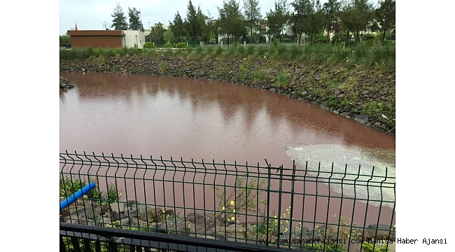 Safran Çayı kızıla boyandı