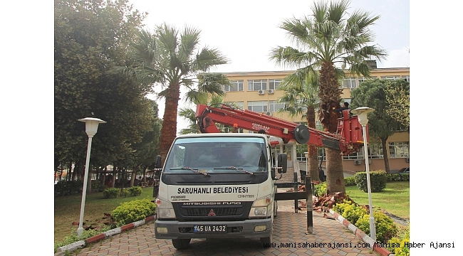 Saruhanlı Belediyesi&#039;nden ağaçlara bahar bakımı