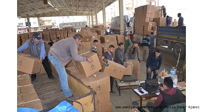 Saruhanlı&#039;da tütün üreticileri fiyatlardan şikayetçi