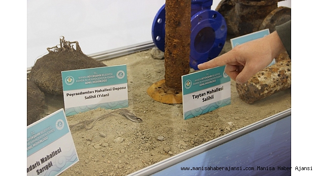 Su deposundan yılan da çıktı