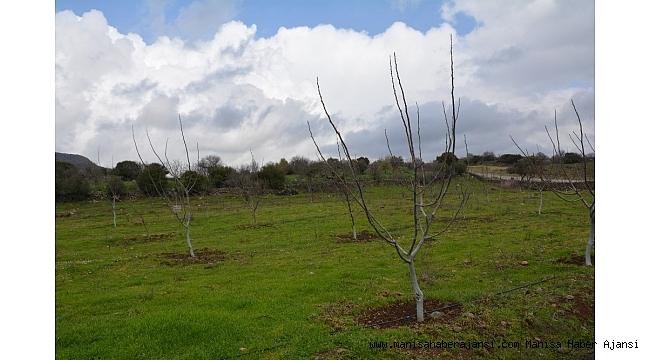 Üreticiler Yunusemre'yle kalkınıyor