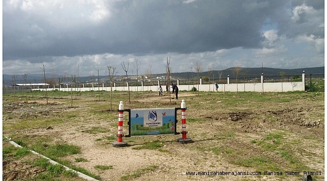 Yunusemre'de ağaçlandırma çalışmaları sürüyor
