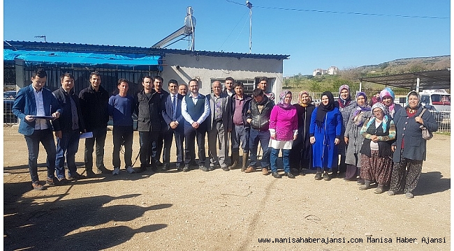 Kulalı genç çiftçilere 96 düve dağıtıldı