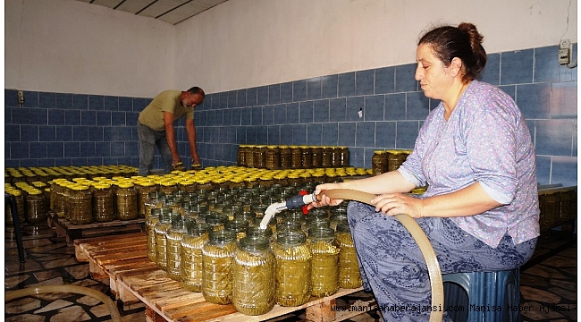 Sarıgöl&#039;de toplanan yapraklar sofralara hazır