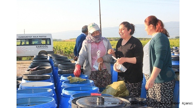 Üzüm bağında Anneler Günü kutlaması