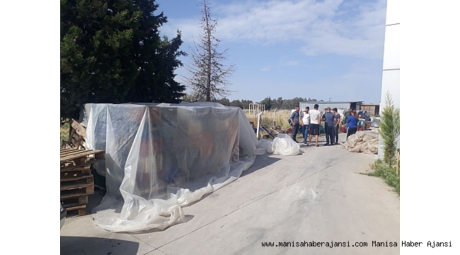 Zeytin hırsızları yakalandı, 5 kişi tutuklandı
