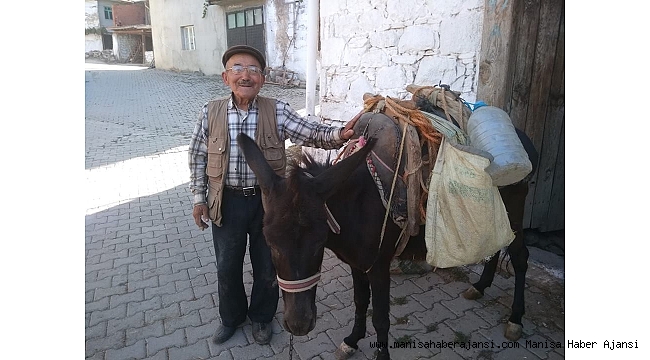 Kiraz ağacından düşen yaşlı adam hayatını kaybetti