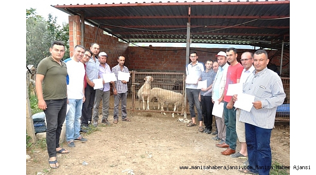 Sarıgöl&#039;de sertifikalı çobanlar göreve hazır
