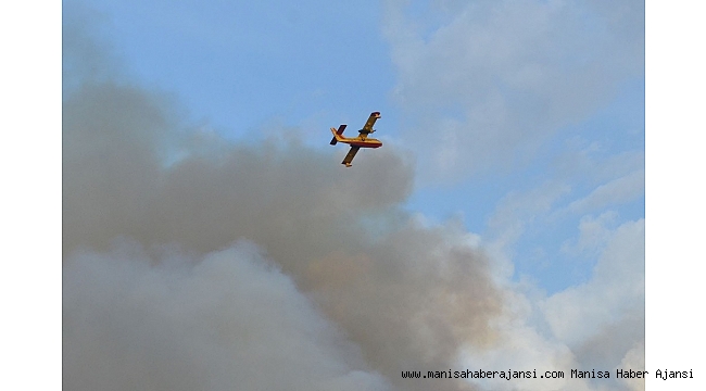 Turgutlu&#039;da onlarca hektar alan küle döndü