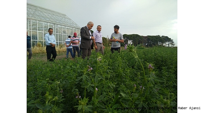 Vali Güvençer'den Beydere'de inceleme
