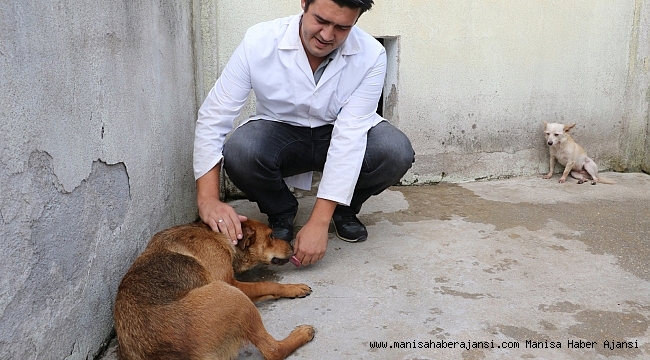 Şiddet Gören Dostlarımız Emin Ellerde