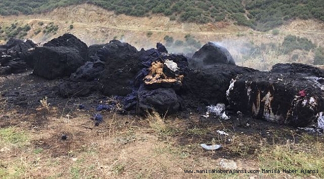 Doğa Düşmanları Önce Attı, Sonra Yaktı
